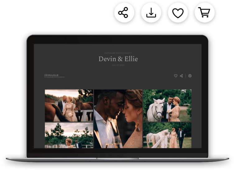create custom online photo galleries
