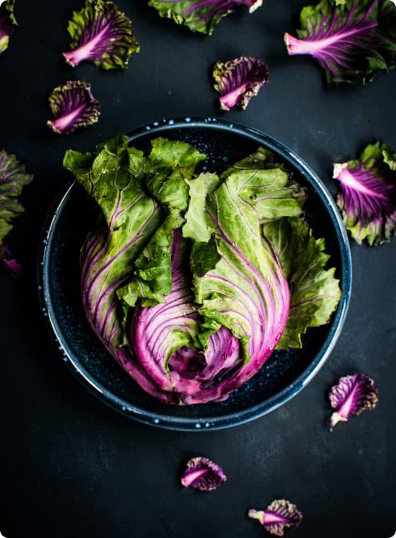 Food photograph