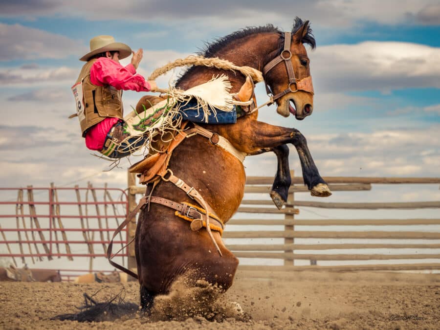 at Cervi Championship Rodeo’s May 2022 Ace High Roughtsock Academy