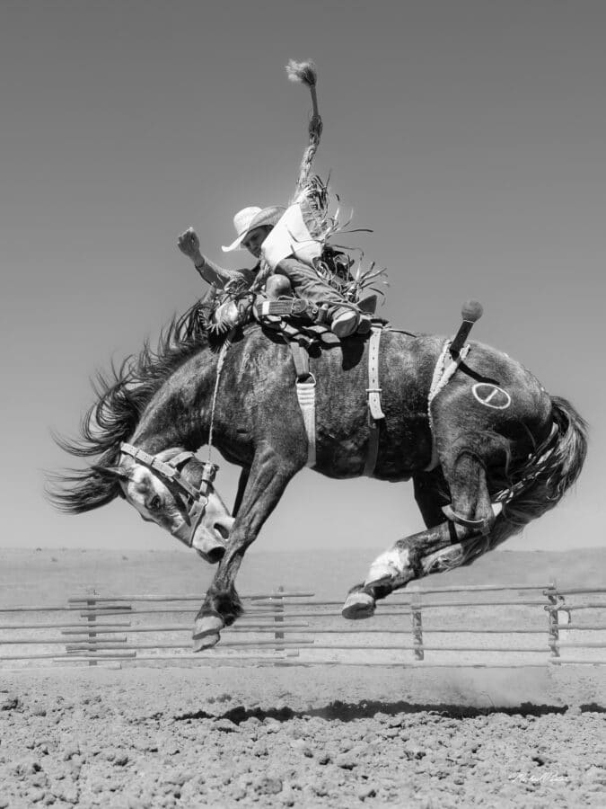 Portrait of a rider on a bucking horse at Cervi Championship Rodeo’s May 2022 Ace High Roughtsock Academy