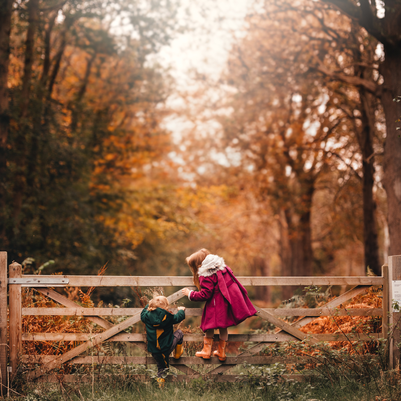 Two children climb a wooden gate in an autumnal forest