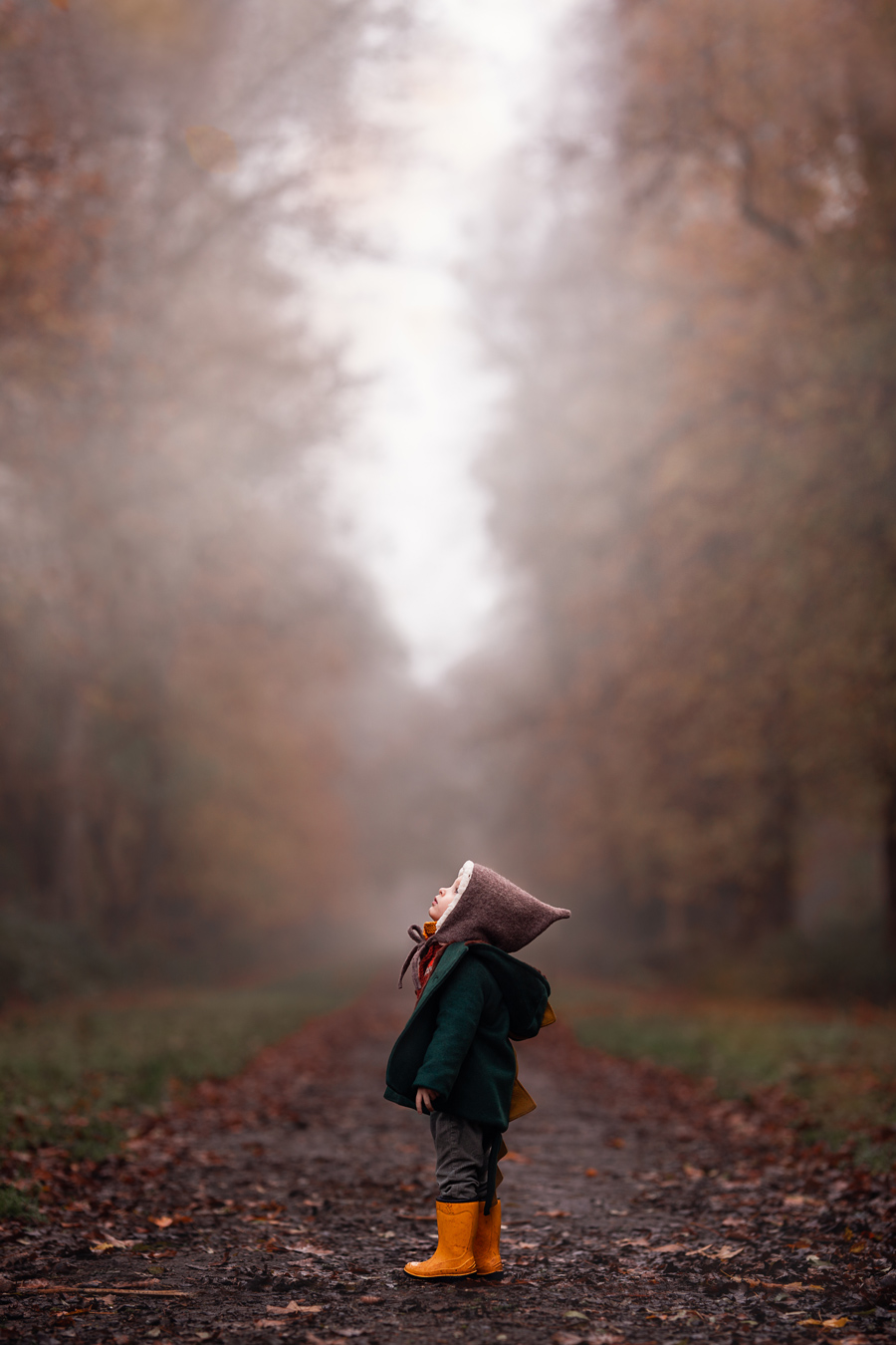 Toddler in hooded coat and yellow boots looks up a foggy path in an autumn forest
