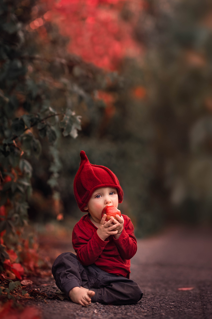 Toddler in red hat and shirt eats red apple outdoors; autumn leaves in background