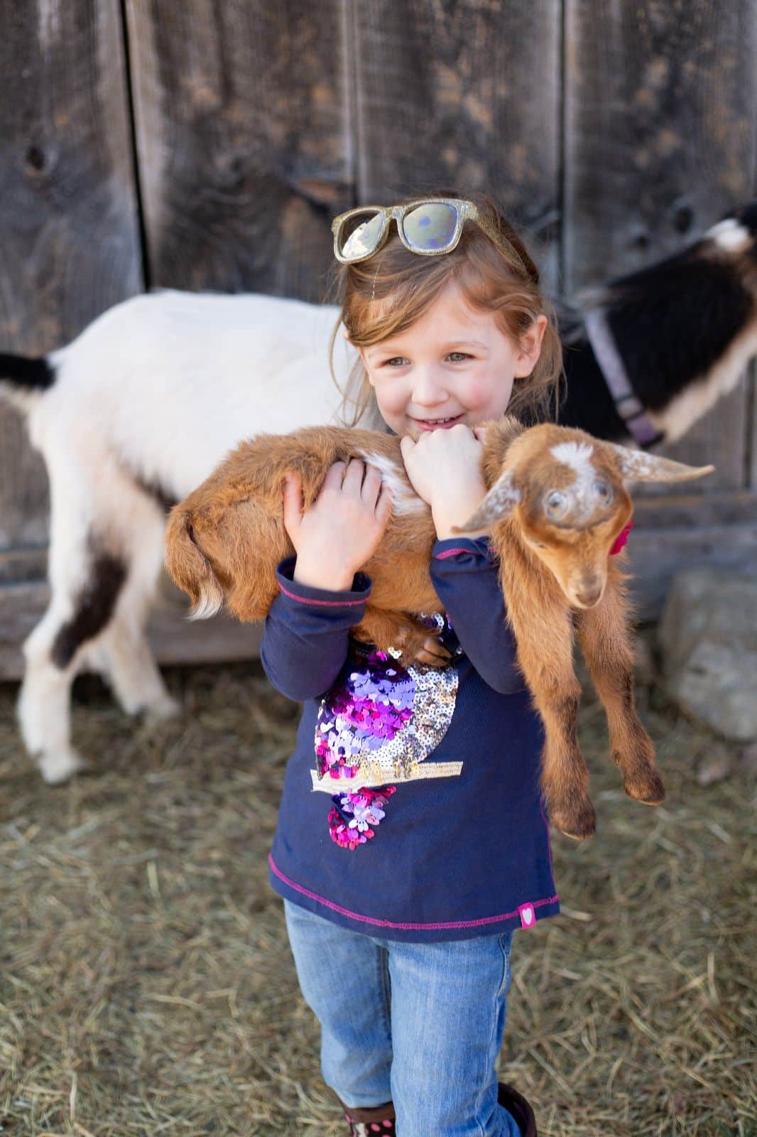 young blond girl smiling and holding a baby goat
