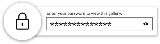 password protection@2x