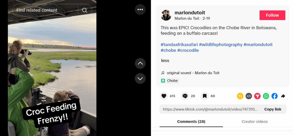 Marlon Dutoit wildlife photography tiktok video