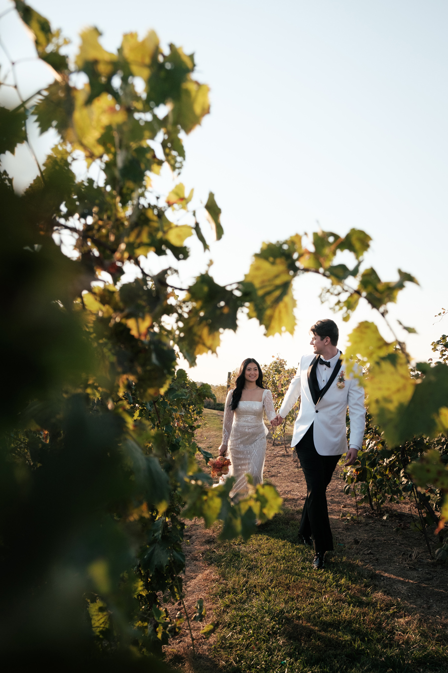 Bride and groom holding hands, walking in vineyard at sunset