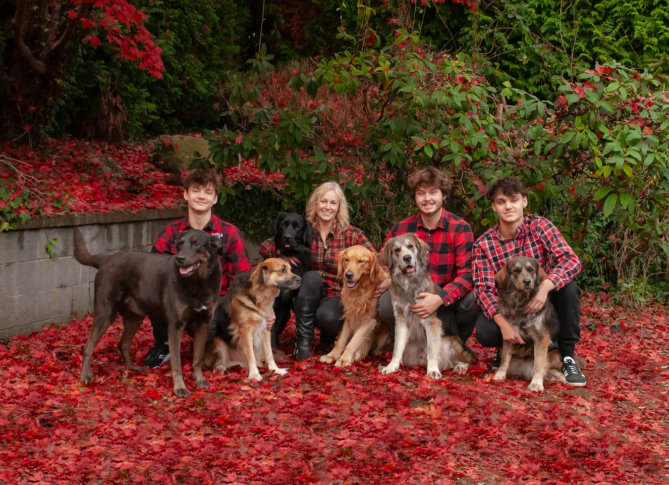 A family of four, including a mother and three sons, pose with their six dogs in a vibrant outdoor setting covered in red leaves. The family members are wearing matching red and black plaid shirts, and the dogs are a variety of breeds and colors. Photo credit: Lisa Porter