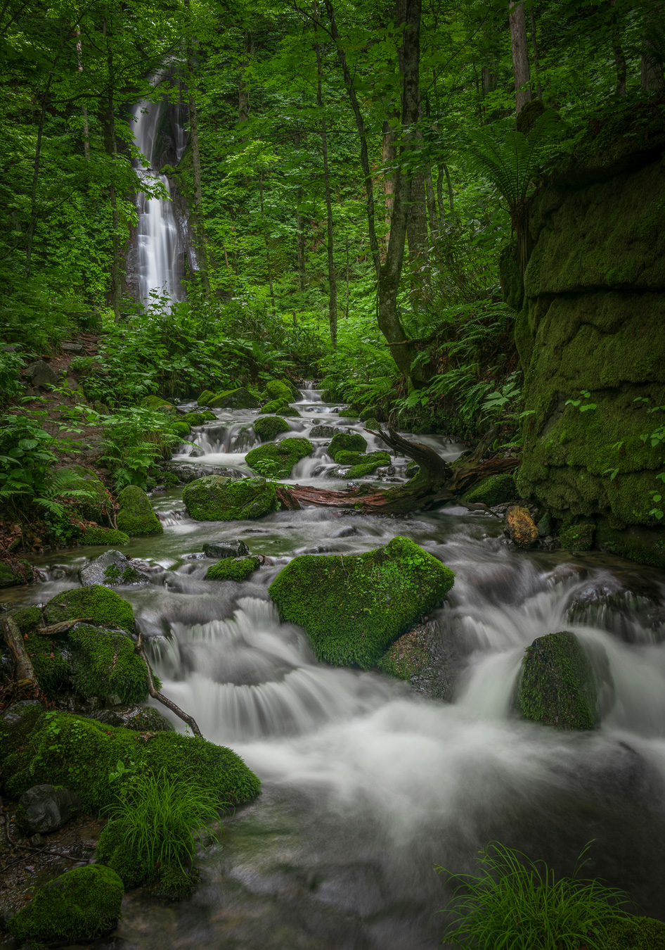 A long exposure shot captures a stream flowing over moss-covered rocks in a lush green forest, with a waterfall visible in the background. The water appears silky and blurred due to the long exposure, contrasting with the sharp details of the surrounding foliage and rocks.