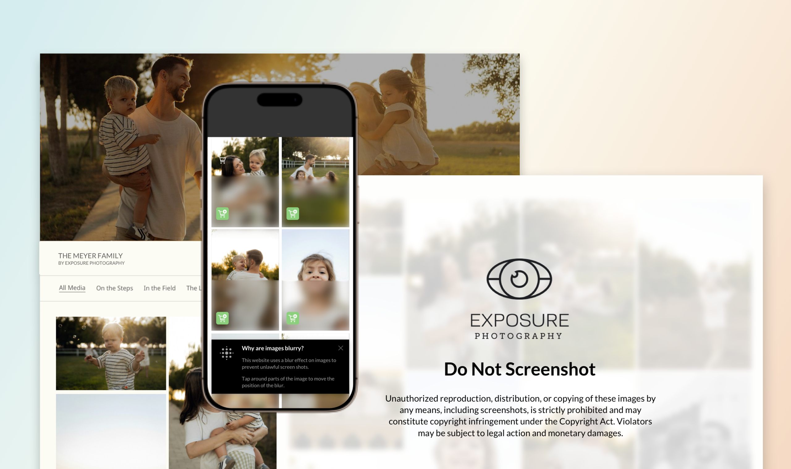 Blog Screenshot Protection
