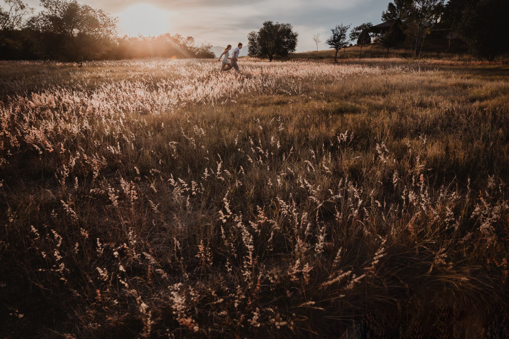 Couple running through tall golden grass in warm sunset light