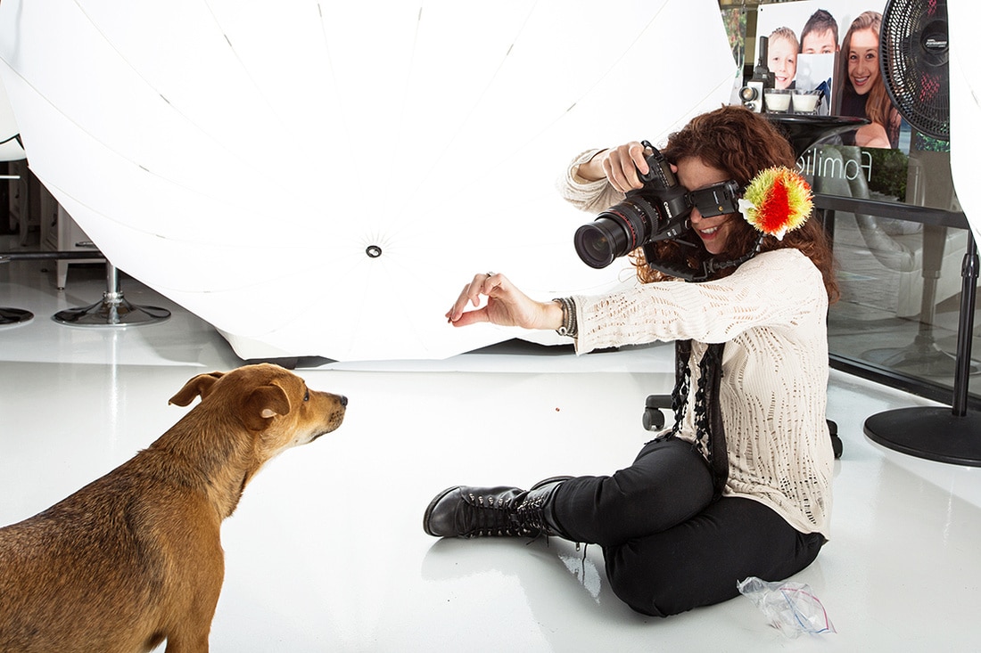 scchmitz-stock-photography