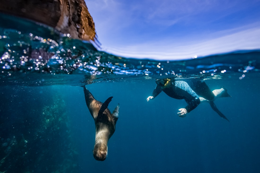 apeacock_galapagos_150930-36971-Edit